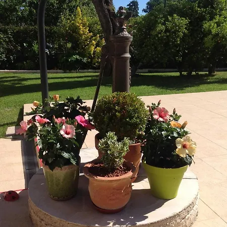 Bed & Breakfast Maison D'hotes La Corisande 3*